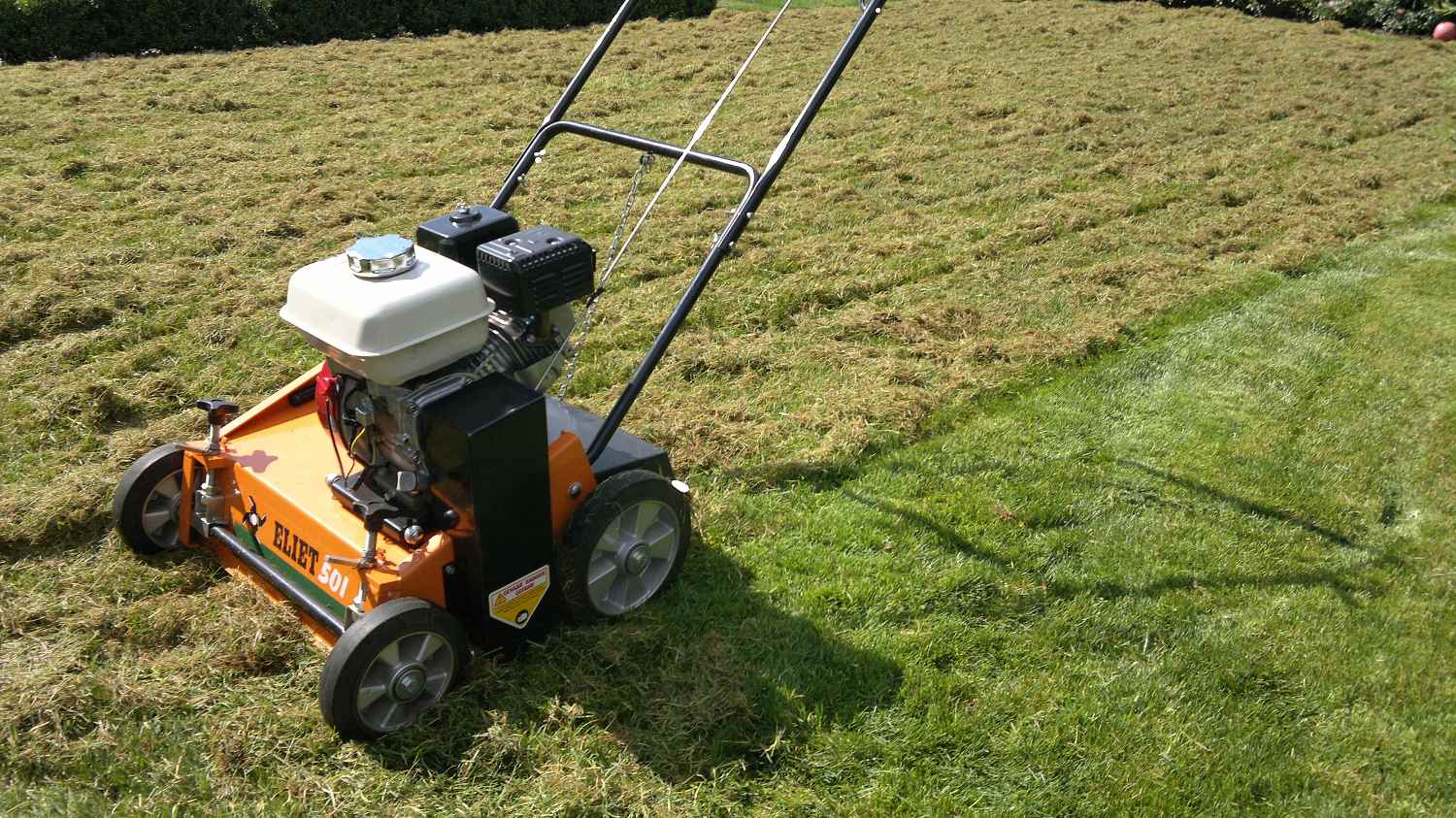 Stará tráva a mech vytažený vertikutem